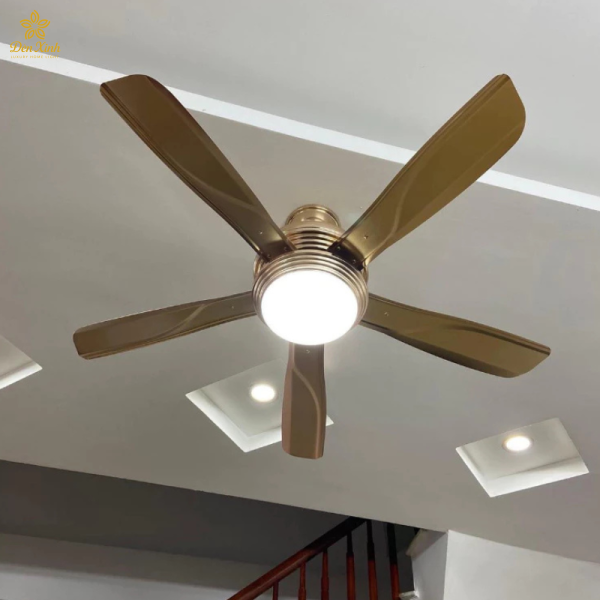 Quạt 5 Cánh Nhựa 01