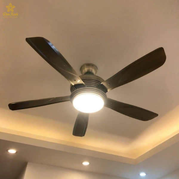 Quạt 5 Cánh Nhựa 01