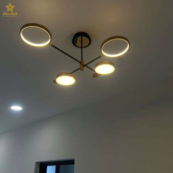 Đèn Thả Thiết Kế TTK112