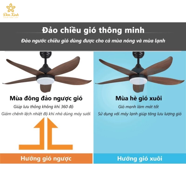 Quạt Trần 5 Cánh 03