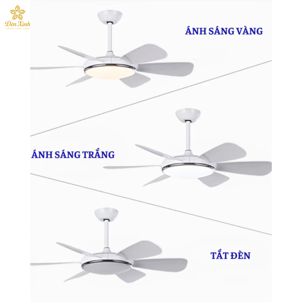 Quạt Trần 05