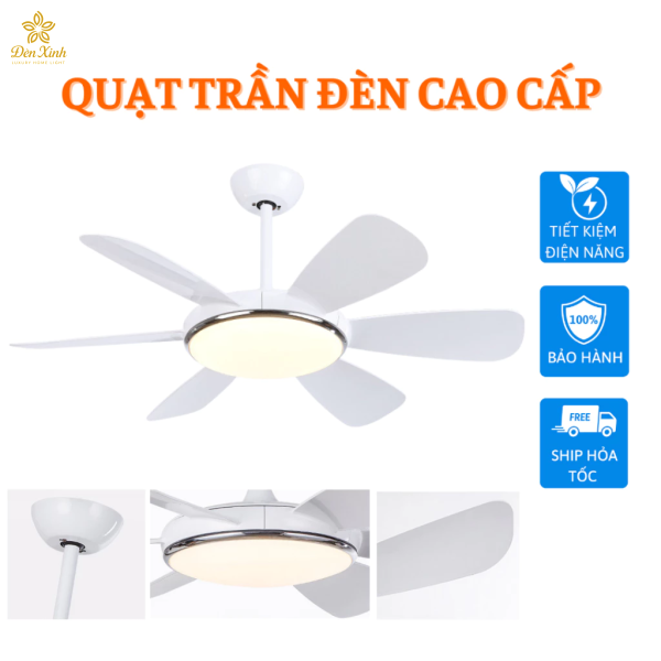 Quạt Trần 05