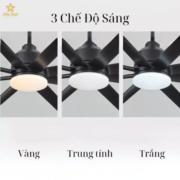 Quạt Trần 15