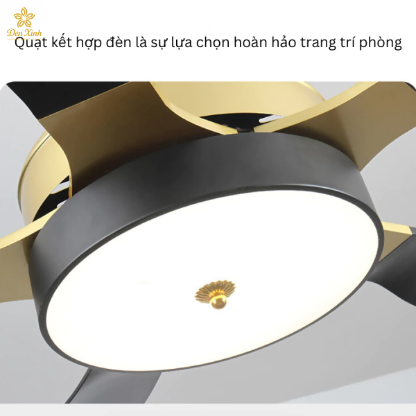 Quạt Trần 06